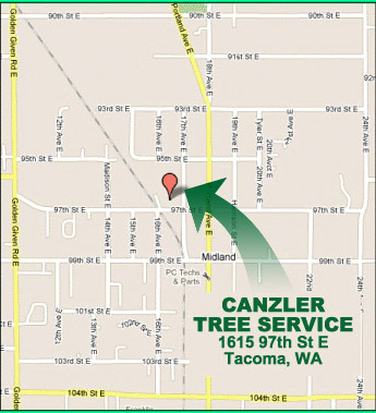 canzler tree service location map