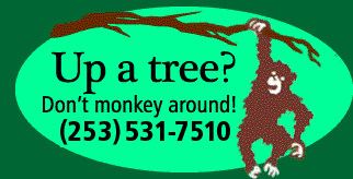 Call Canzler Tree Service today! (253) 444-3955 Up a tree? Don't monkey around! Call 2535317510